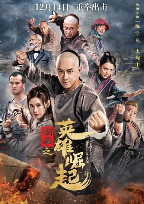 《善良岳母：我爱我的女婿》海报